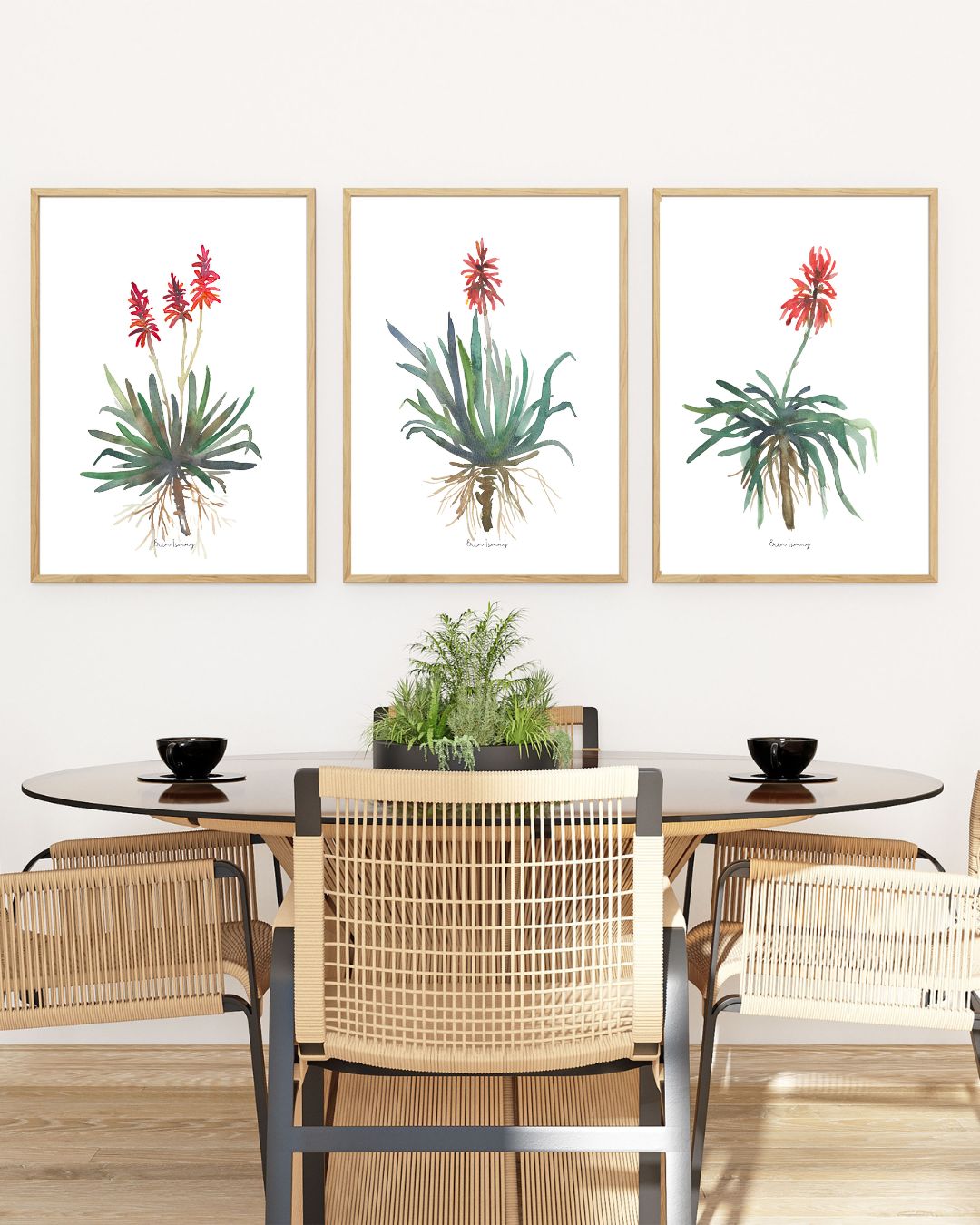 African Aloe Watercolour Print - 3 Piece Set