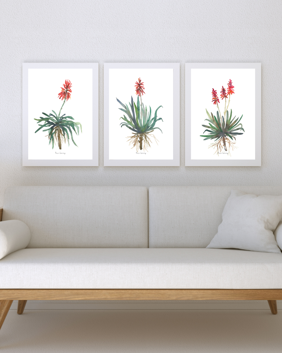 African Aloe Watercolour Print - 3 Piece Set