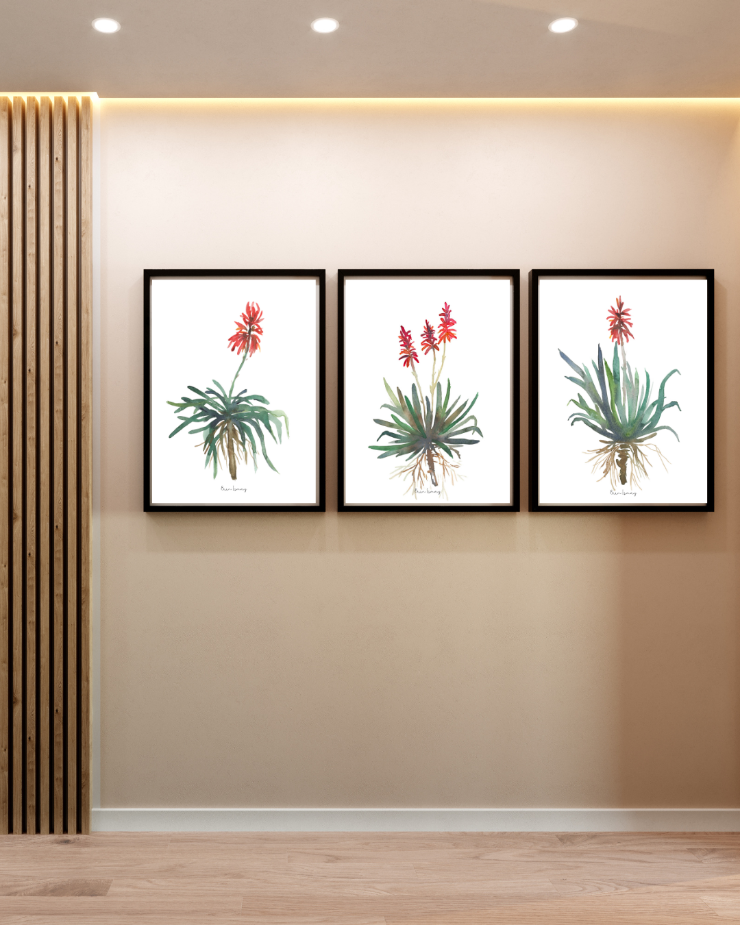 African Aloe Watercolour Print - 3 Piece Set