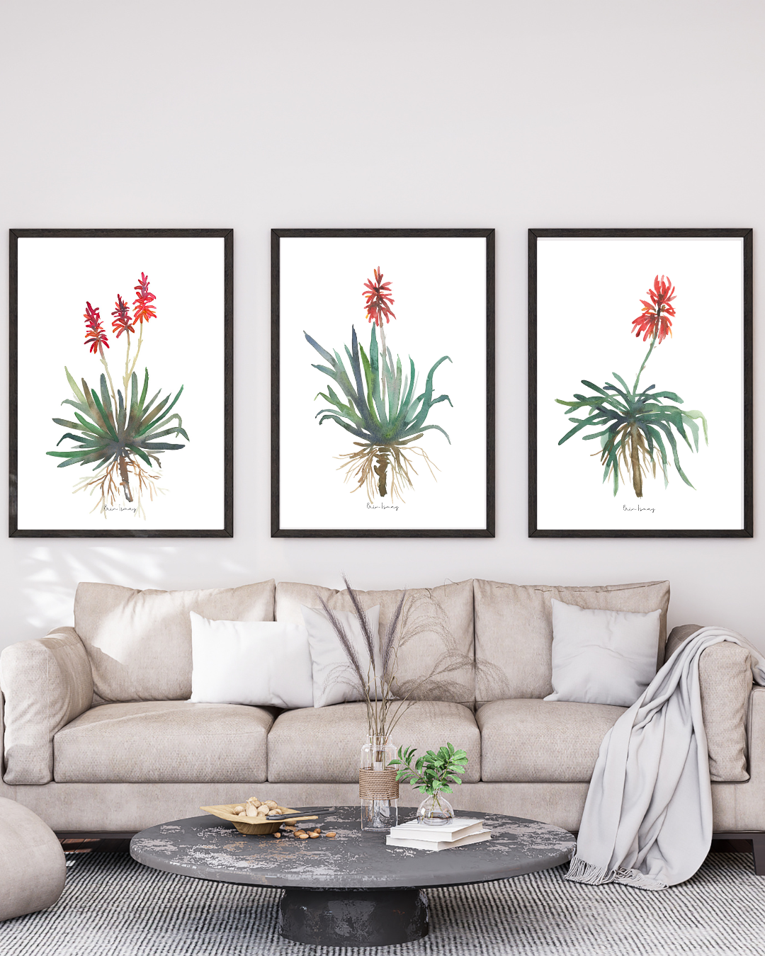African Aloe Watercolour Print - 3 Piece Set