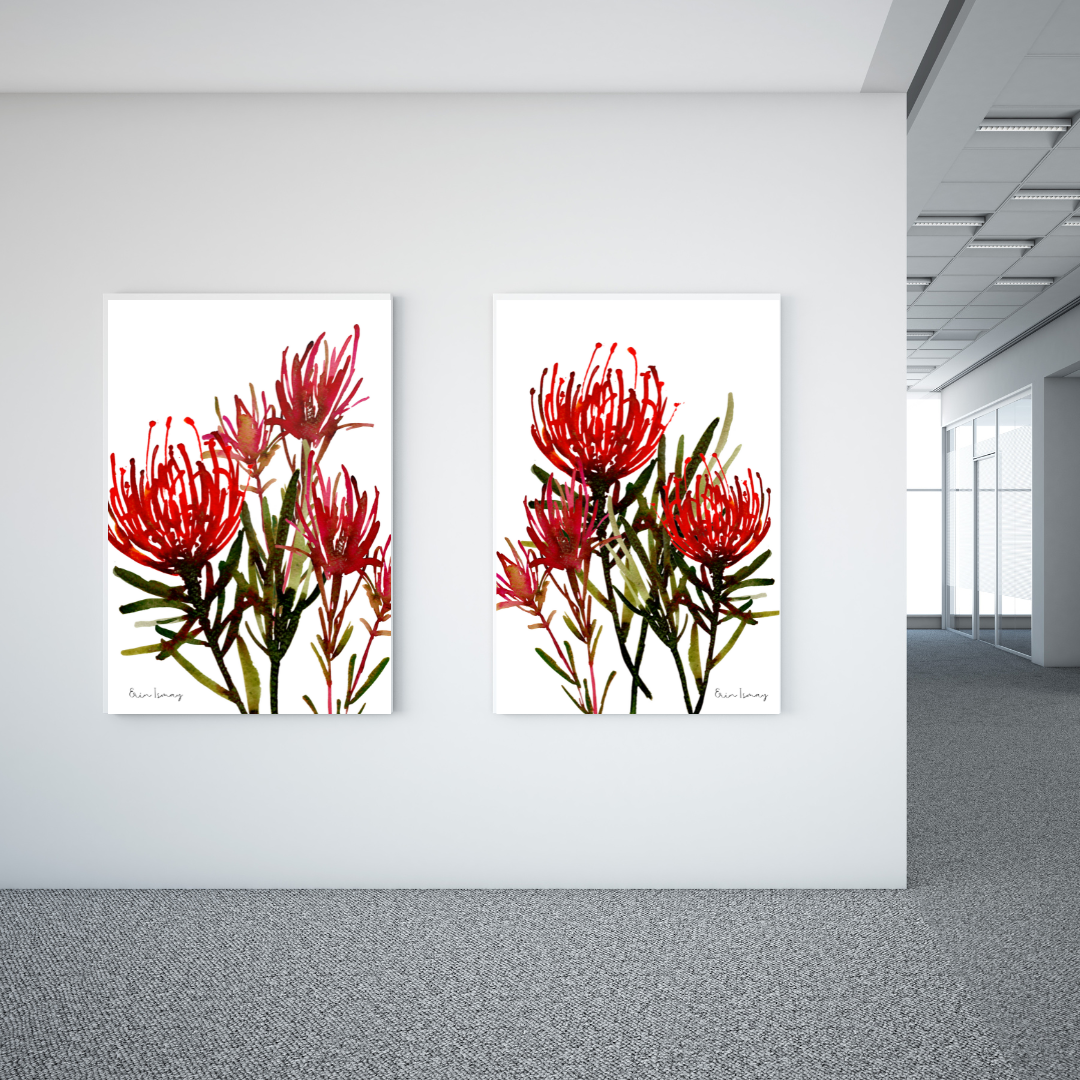 Cape Glory Watercolour Print - 2 Piece Set