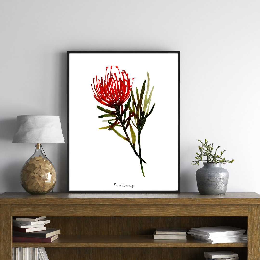 Hermanus Pin Cushion Watercolour Print