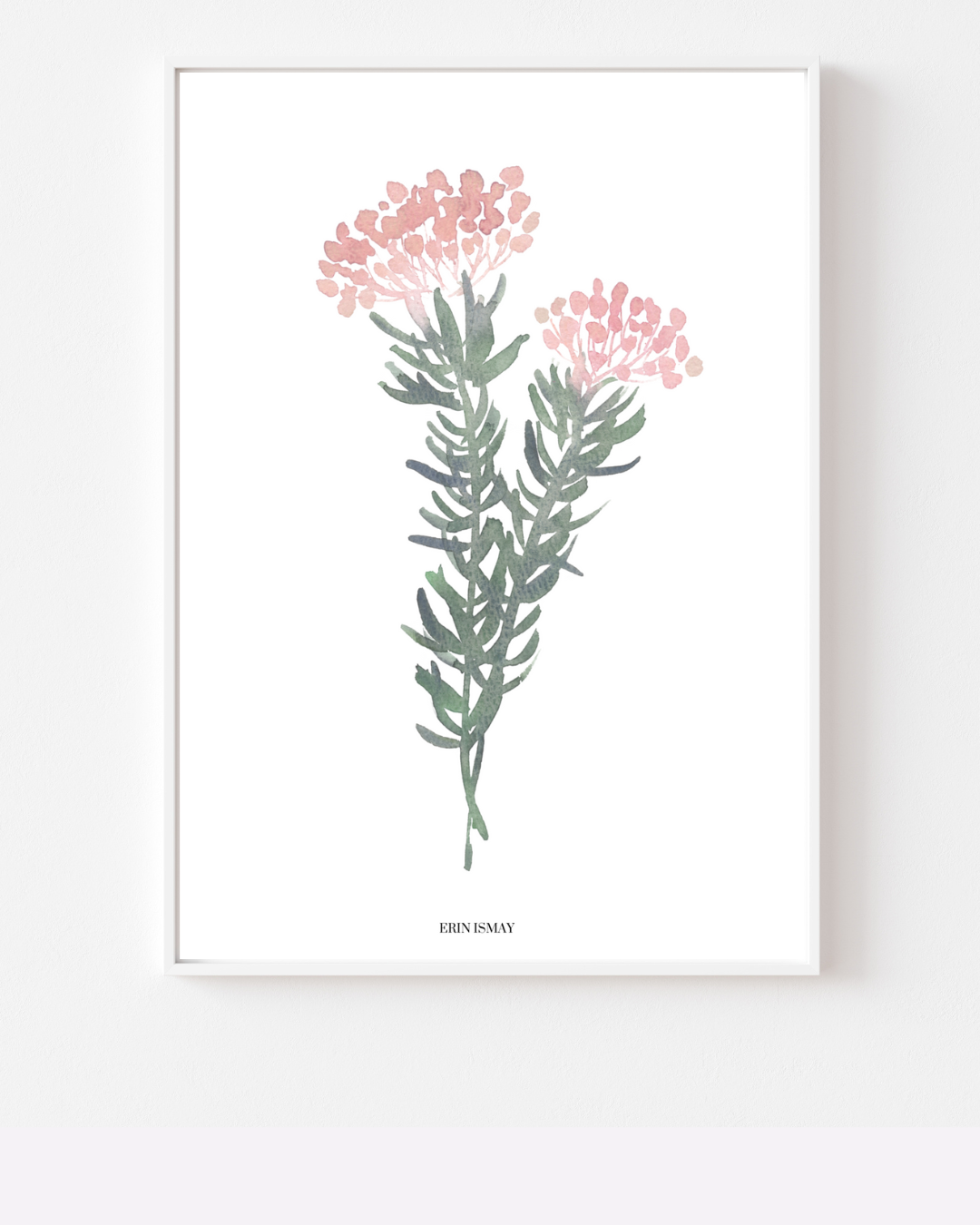 Blombos Fynbos Watercolour Print