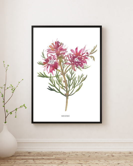 Blushing Bride Watercolour Print