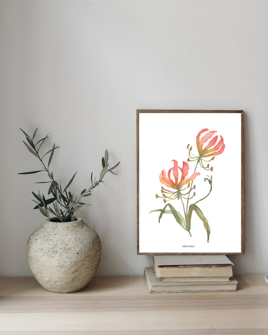 Flame Lily Watercolour Print