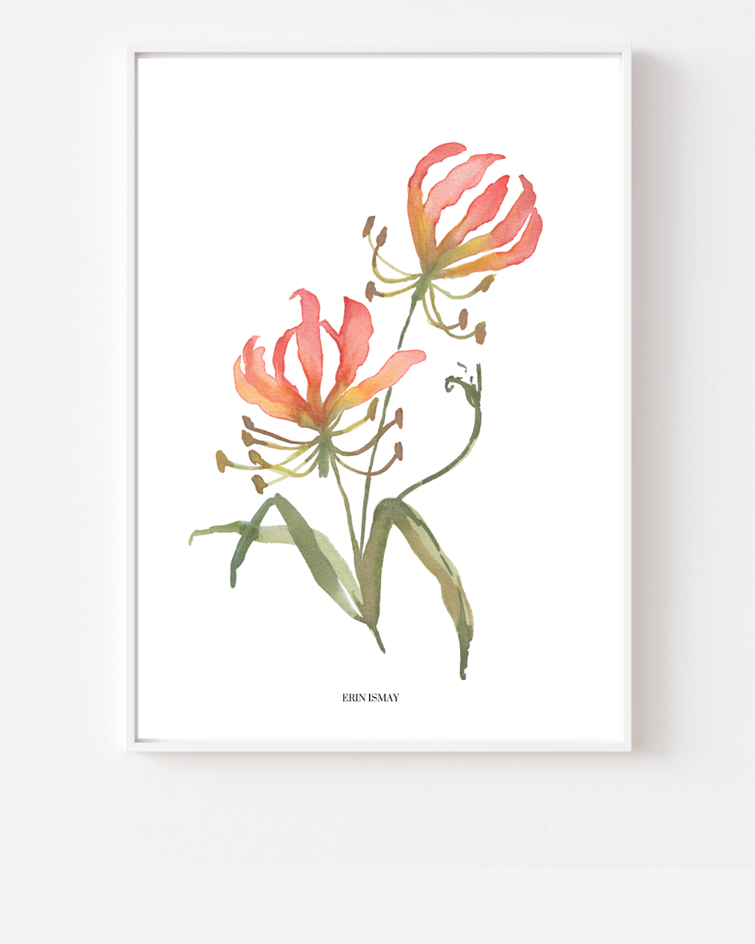 Flame Lily Watercolour Print