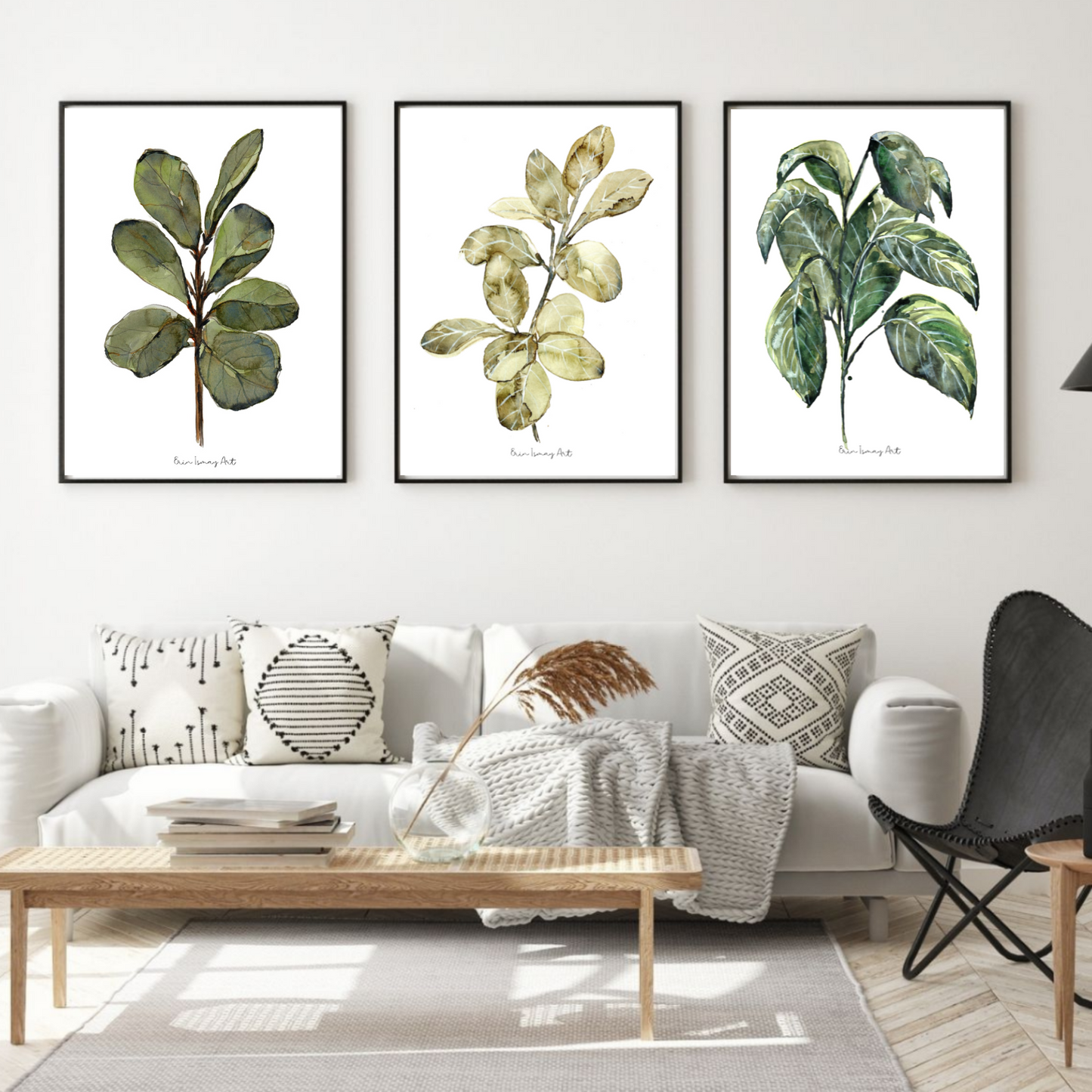 Ficus Watercolour Plant - 3 Piece Set