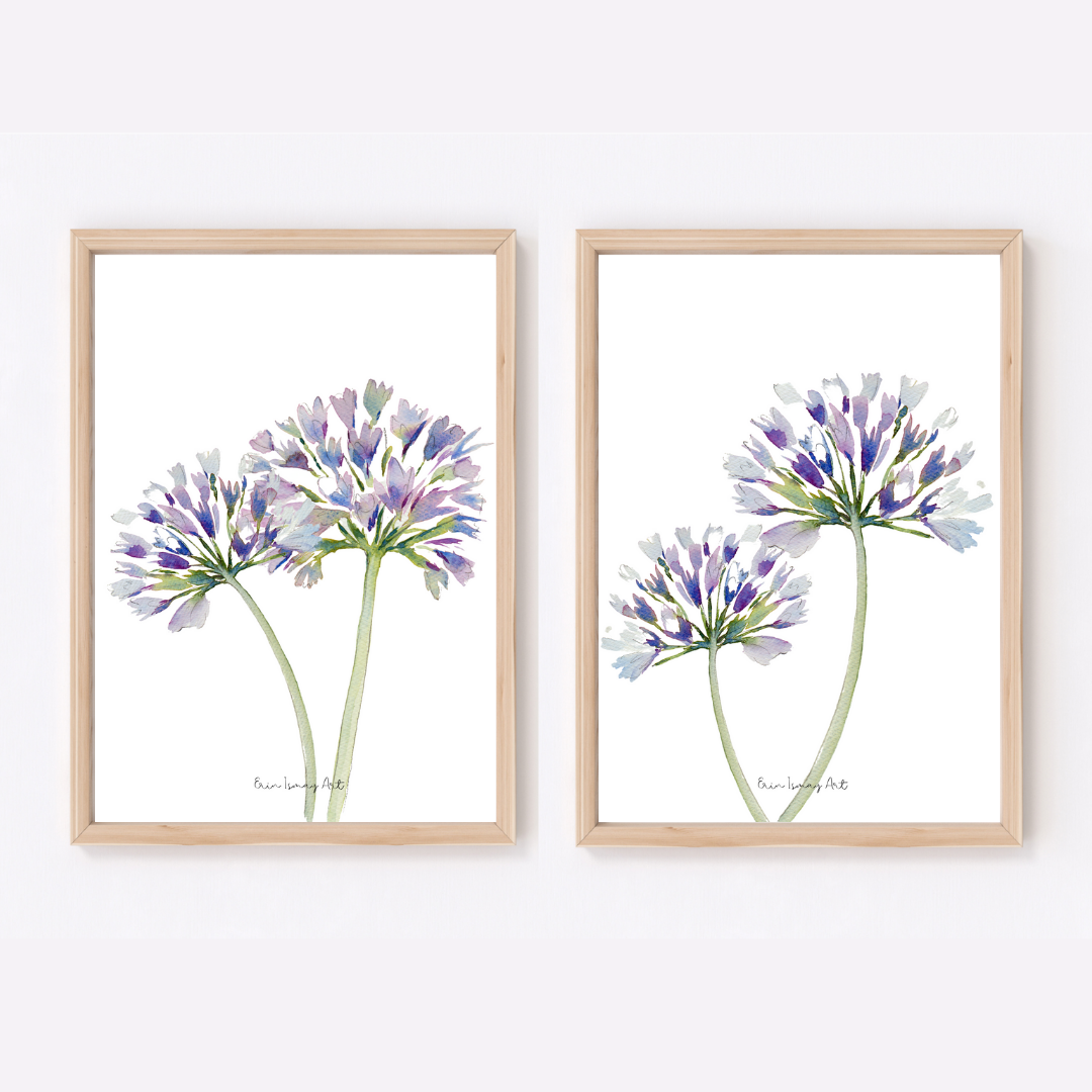 Double Agapanthus Watercolour Print-2 Piece Set