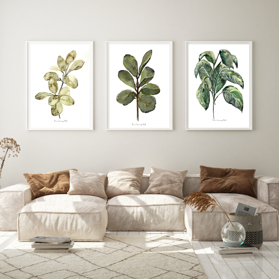 Ficus Watercolour Plant - 3 Piece Set