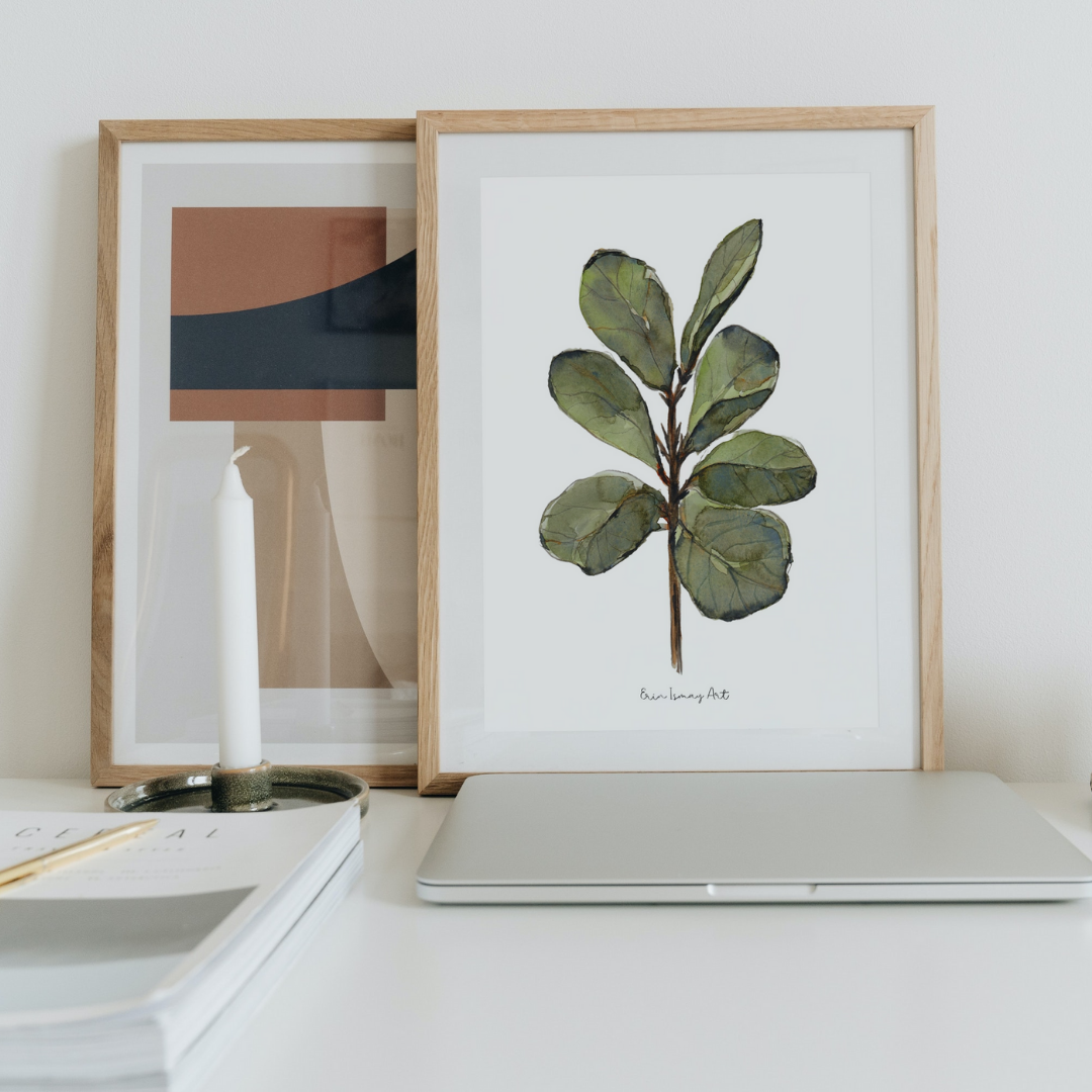Ficus Plant Watercolour Print