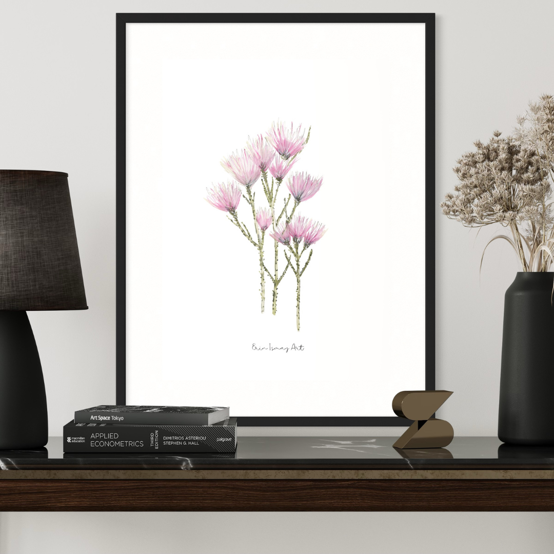 Cape Strawflower Watercolour Print