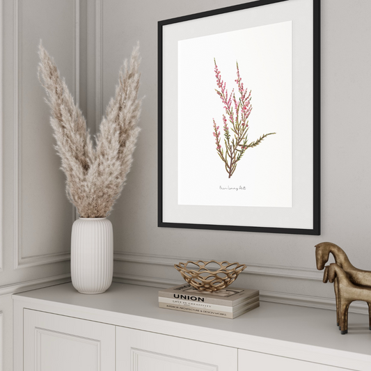 Pink Erica Watercolour Print