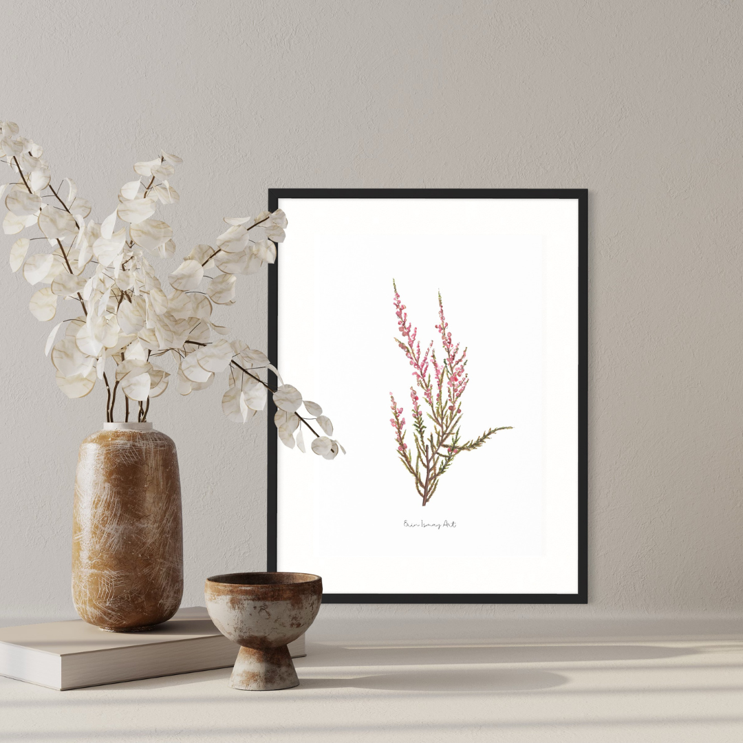 Pink Erica Watercolour Print