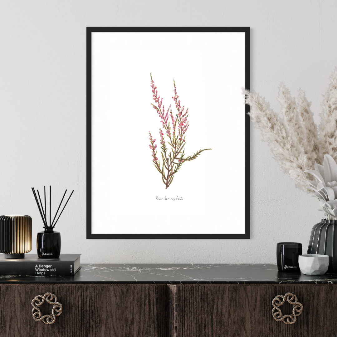 Pink Erica Watercolour Print