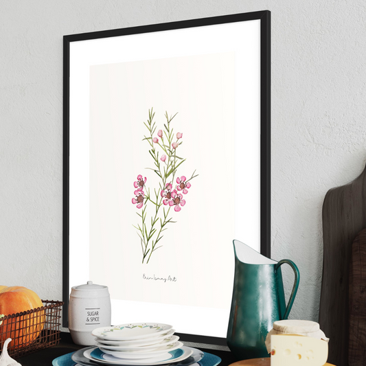 Geraldton Wax Watercolour Print