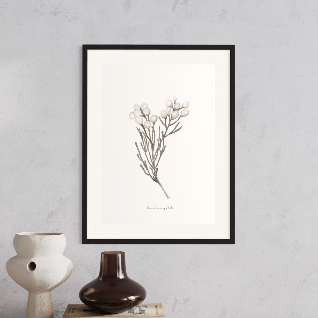 Silver Brunia Watercolour Print