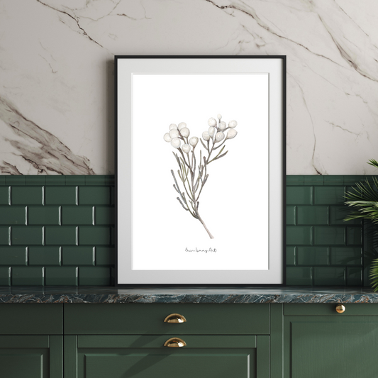 Silver Brunia Watercolour Print