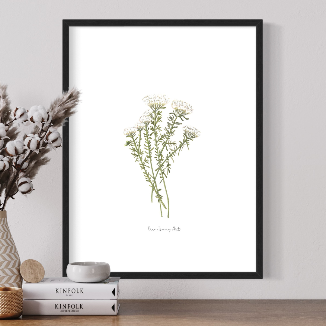 White Bristle Fynbos Watercolour Print