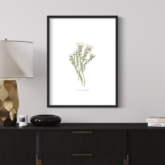 White Bristle Fynbos Watercolour Print