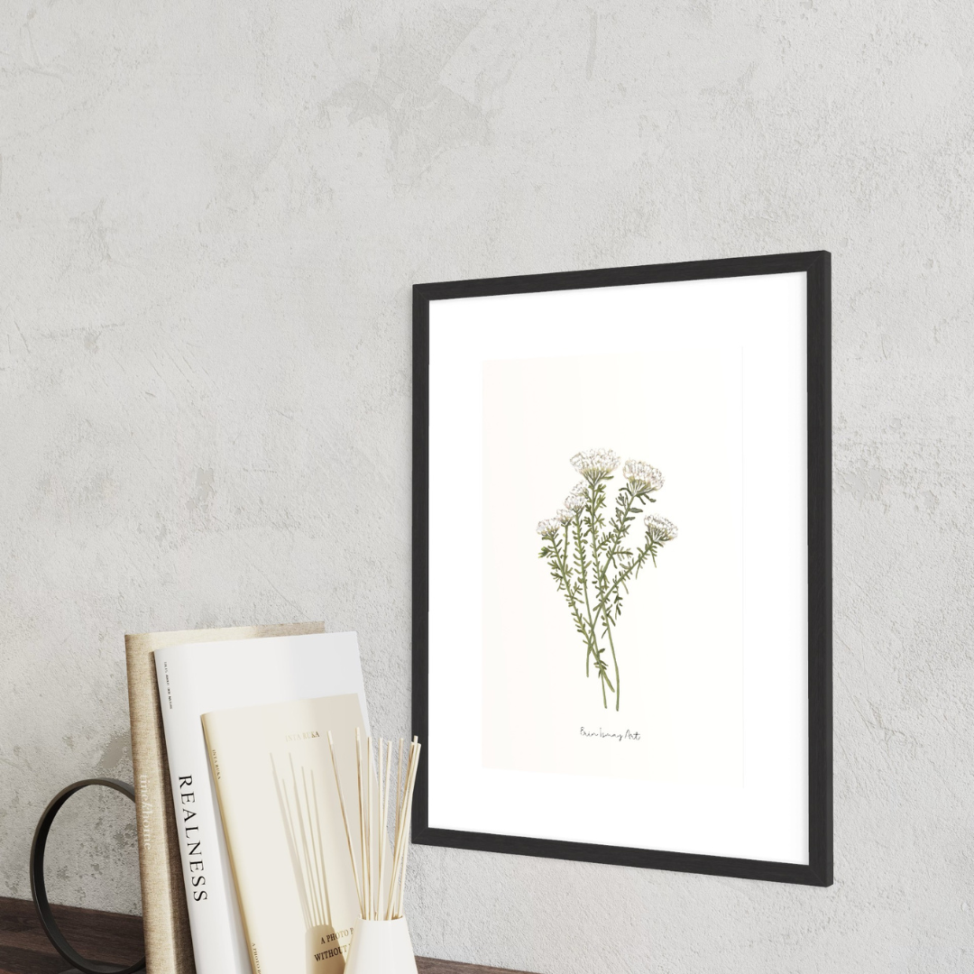 White Bristle Fynbos Watercolour Print
