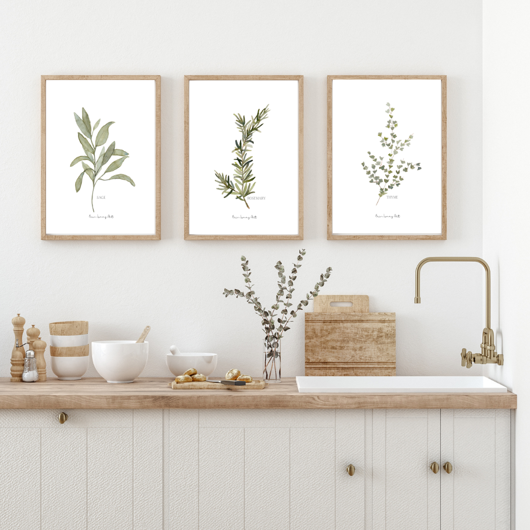 Herb Collection Watercolour- 3 Piece Set
