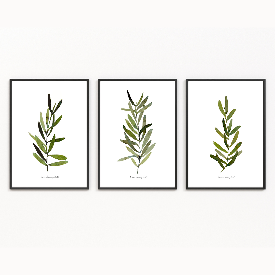 Olive Leaves Watercolour Print- 3 Piece Set