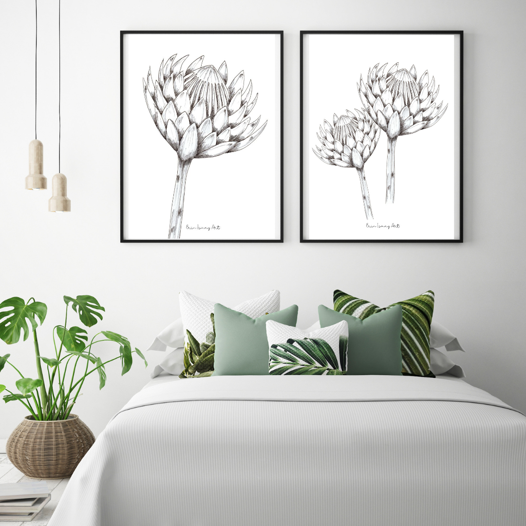 Protea Drawing - 2 Piece Set