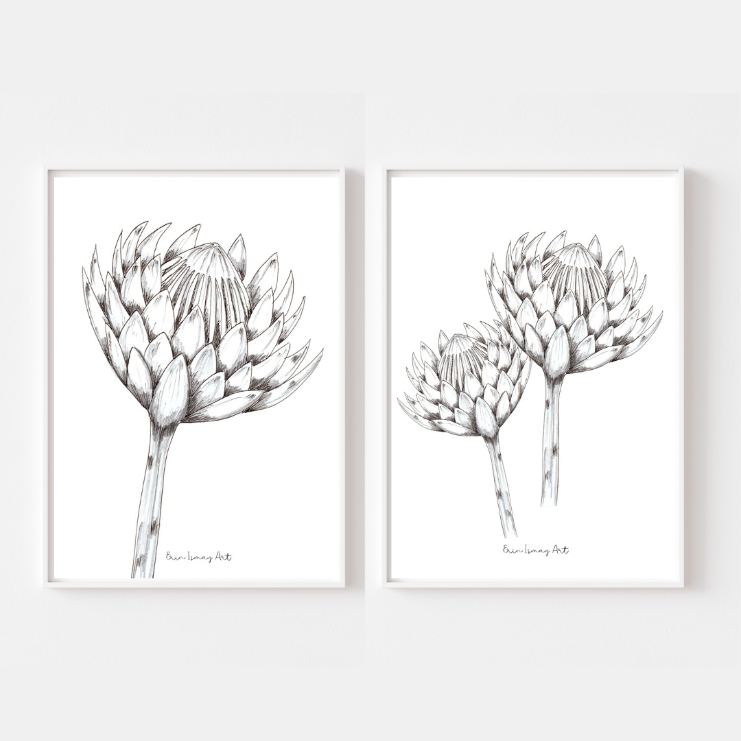 Protea Drawing - 2 Piece Set