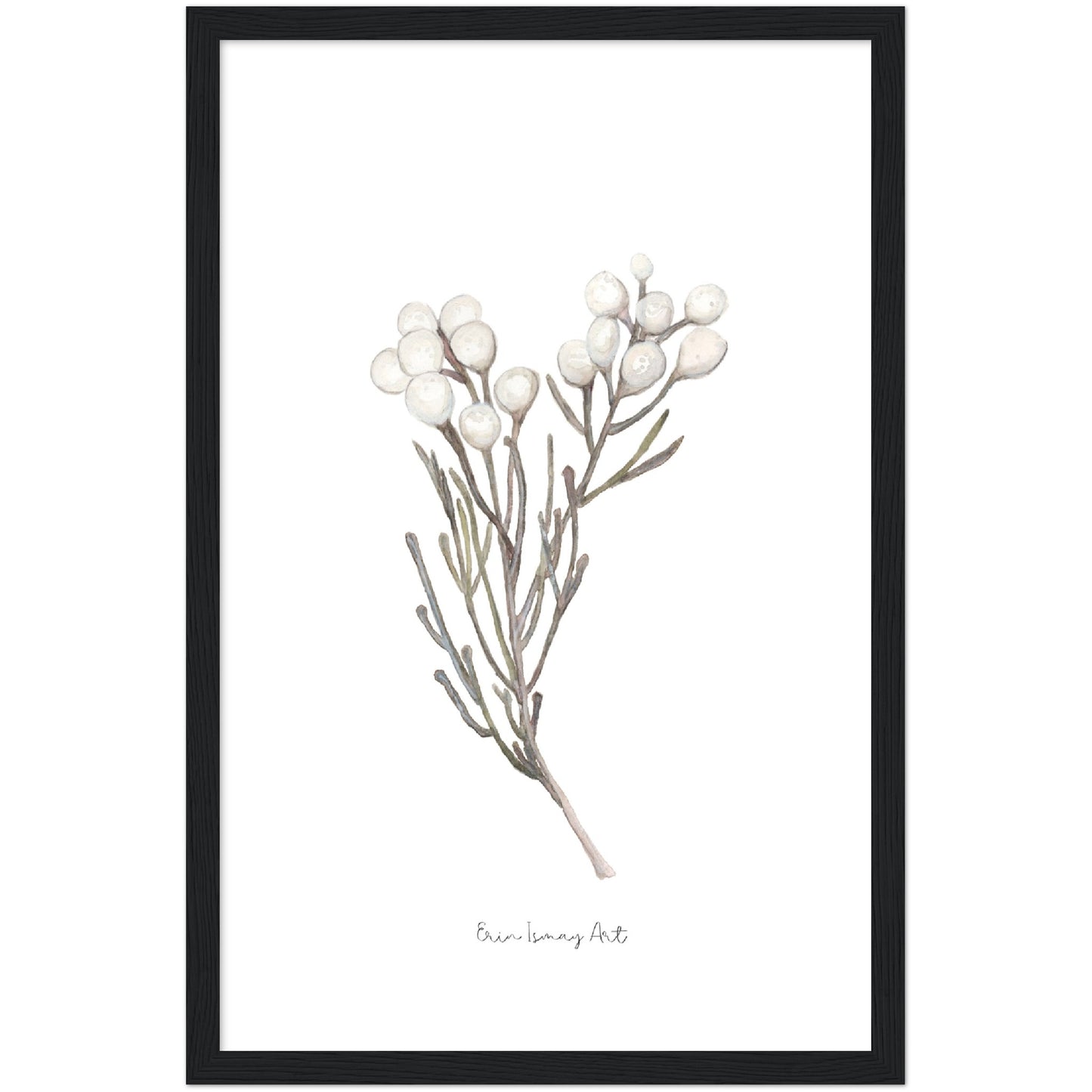 Silver Brunia Watercolour Print