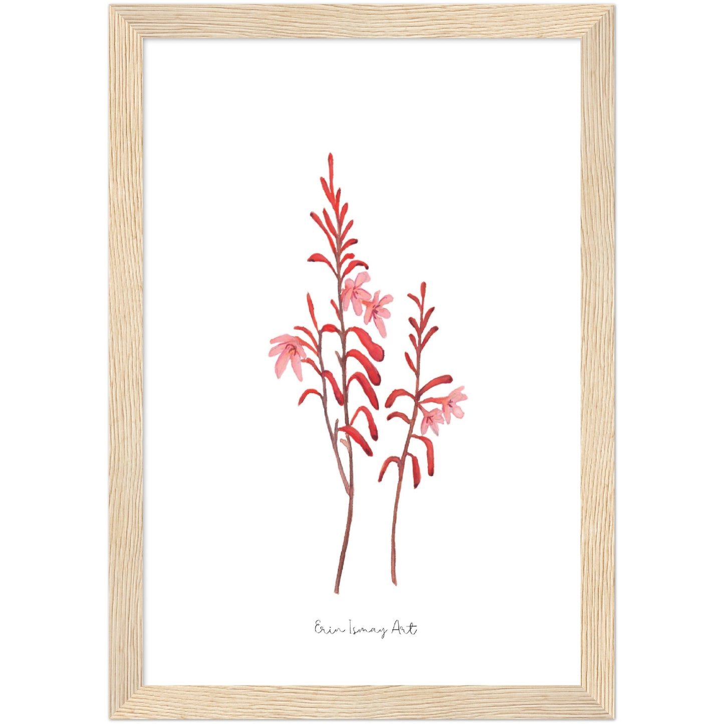 Table Mountain Watsonia Watercolour Print