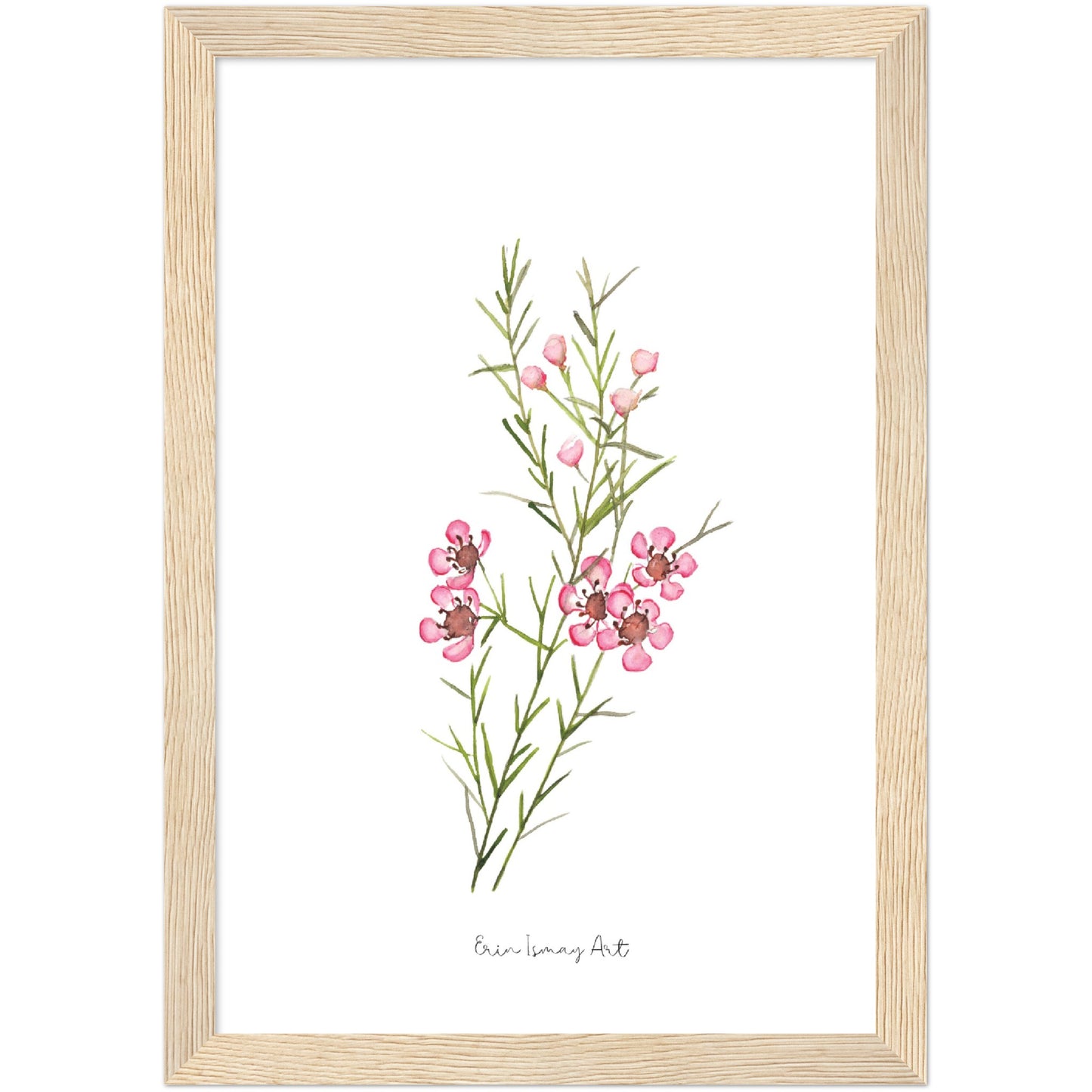 Geraldton Wax Watercolour Print