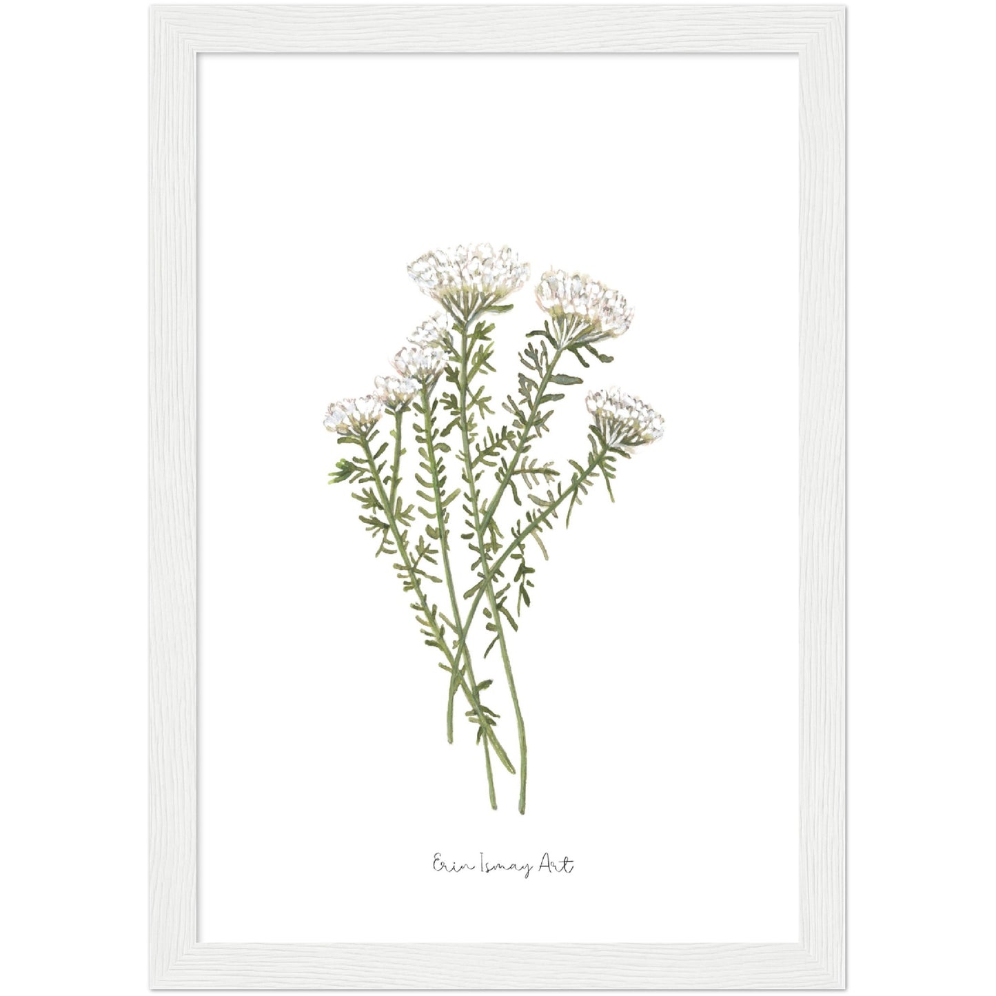 White Bristle Fynbos Watercolour Print
