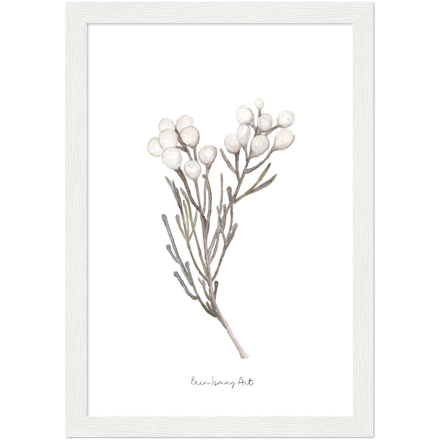 Silver Brunia Watercolour Print