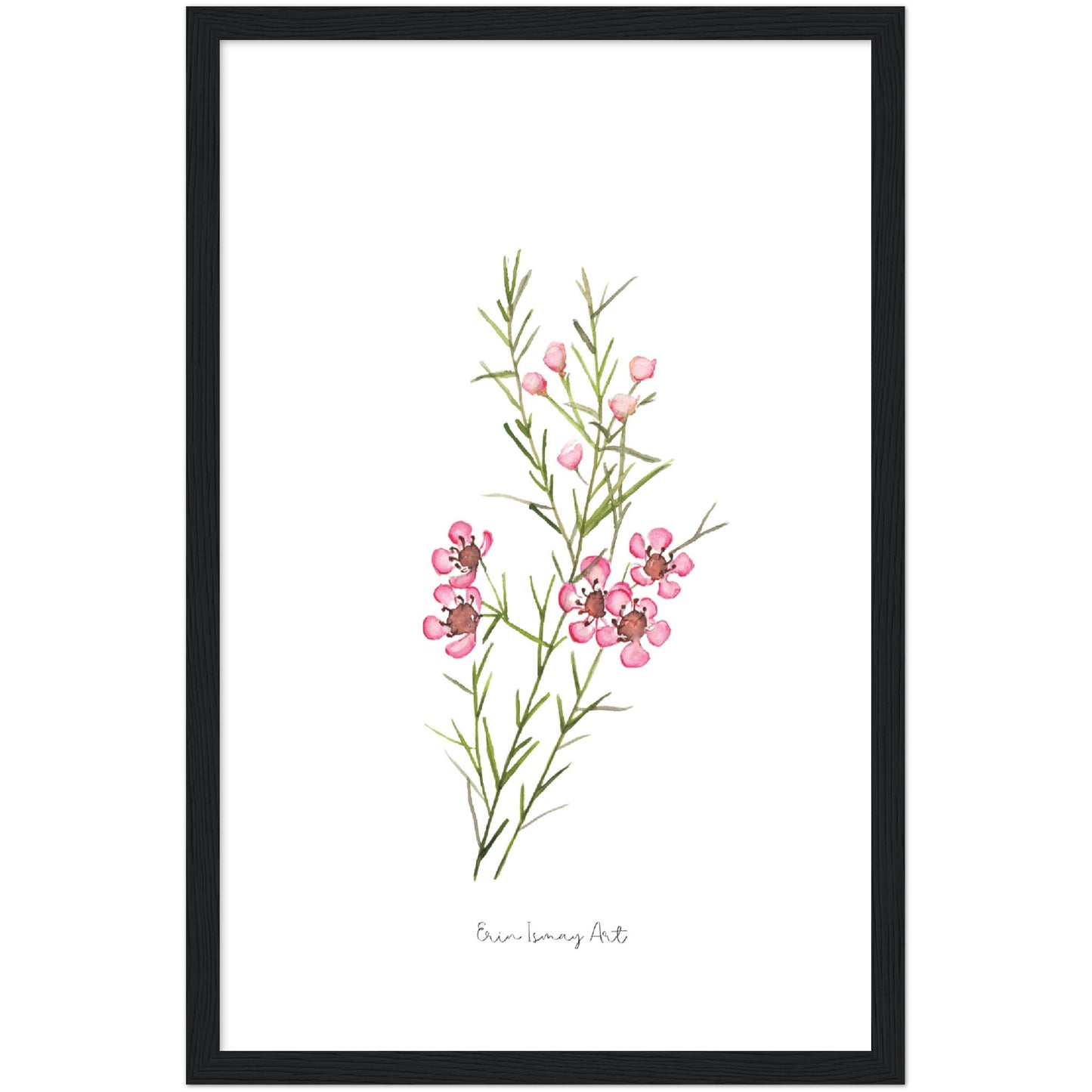 Geraldton Wax Watercolour Print