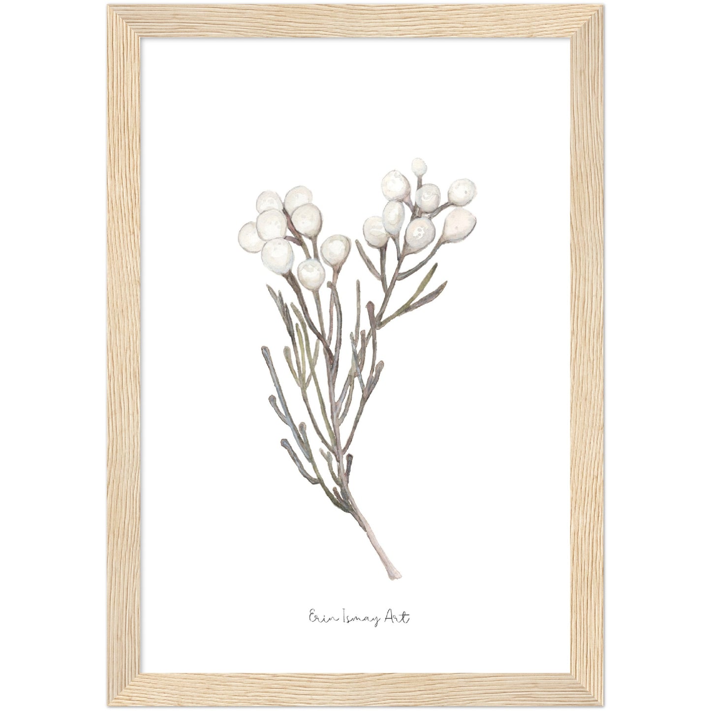 Silver Brunia Watercolour Print