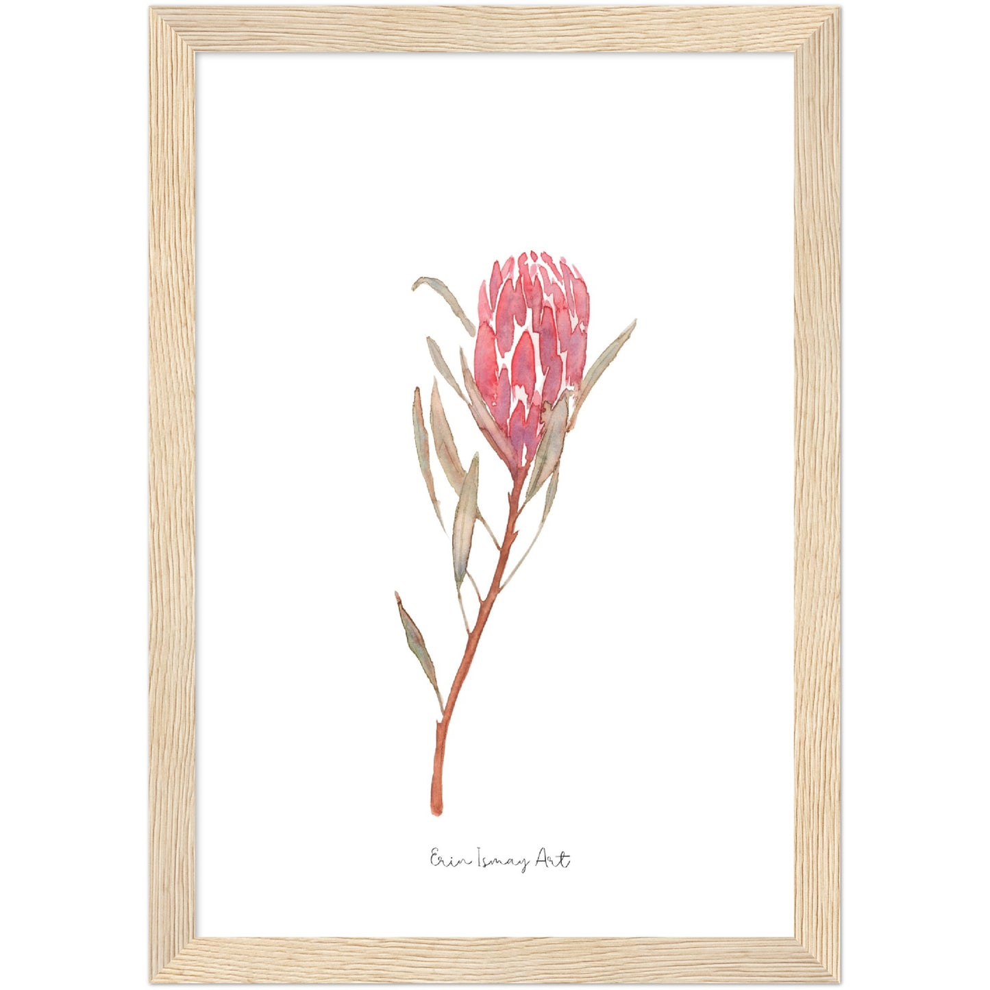 Red Ice Protea Watercolour Print