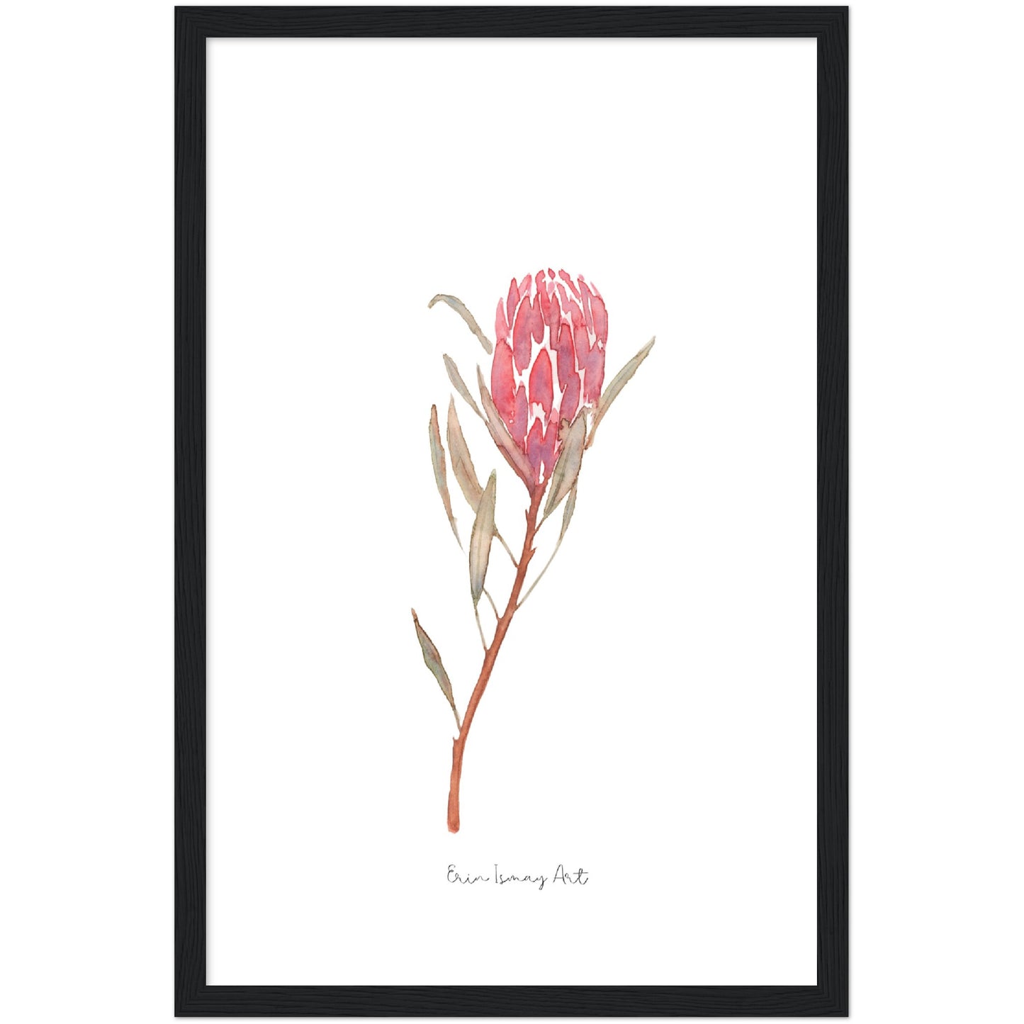 Red Ice Protea Watercolour Print