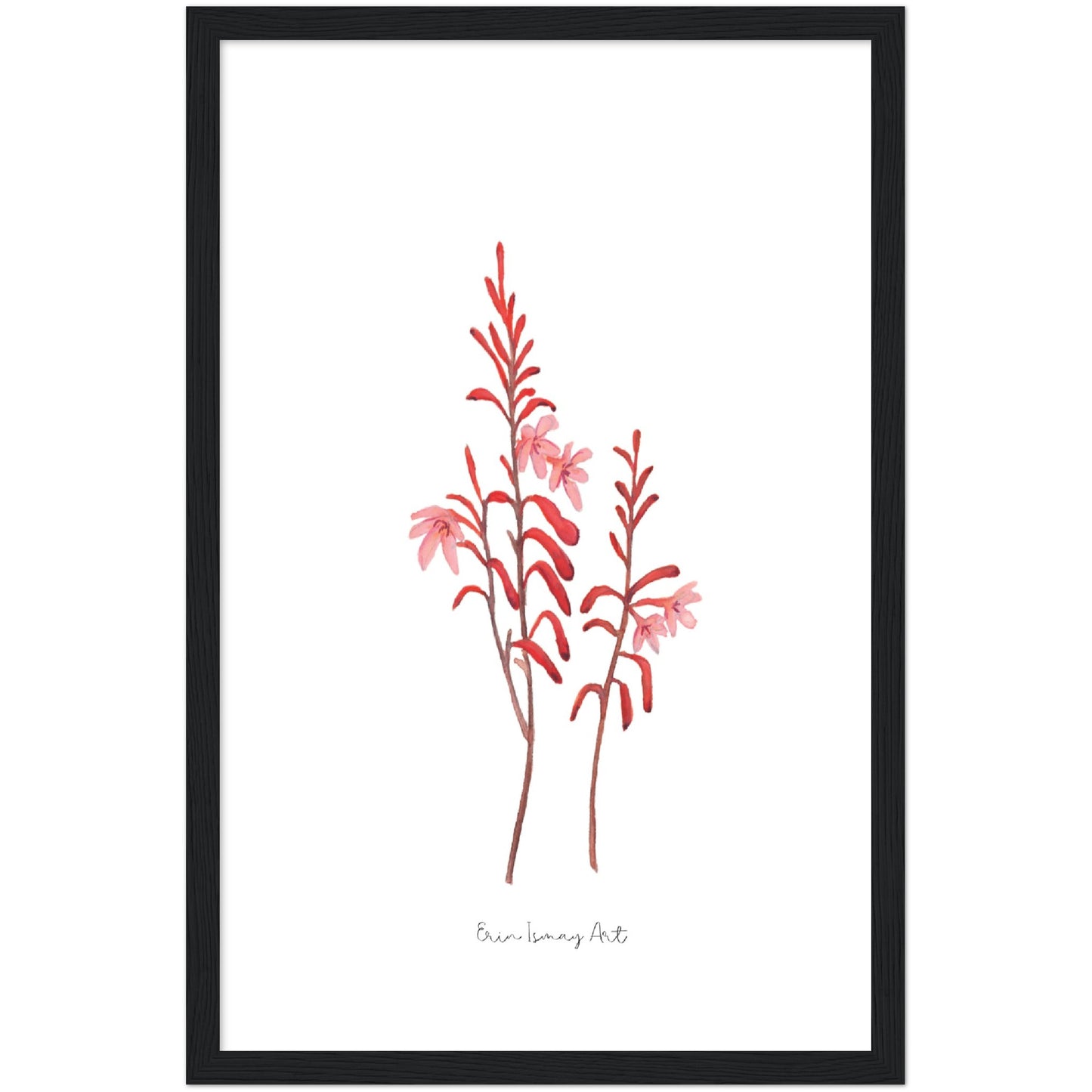 Table Mountain Watsonia Watercolour Print