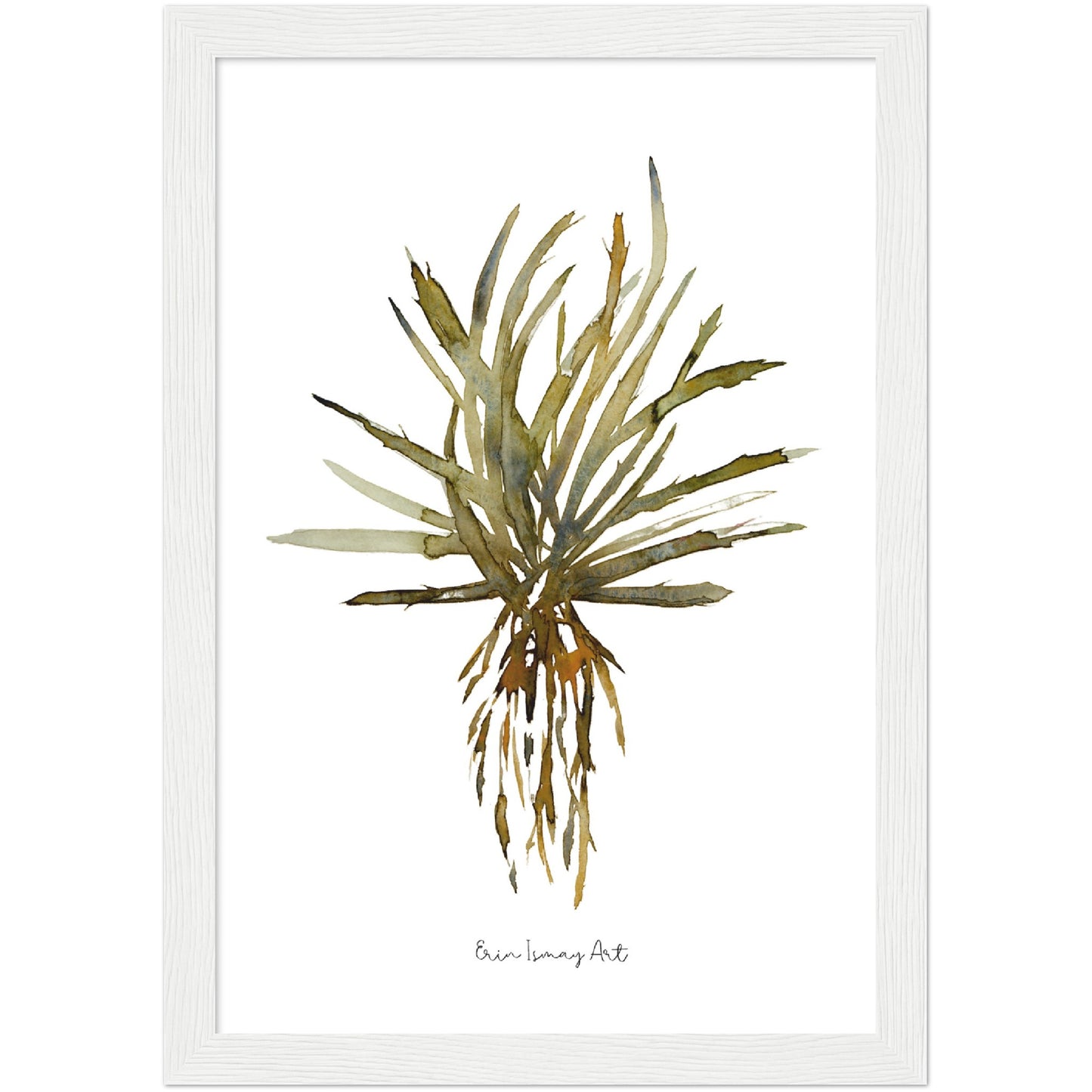 Aloe Vera Watercolour Print