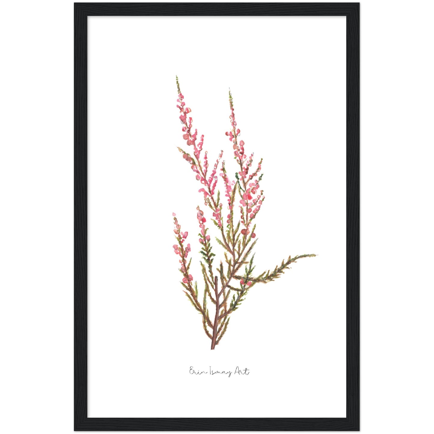 Pink Erica Watercolour Print