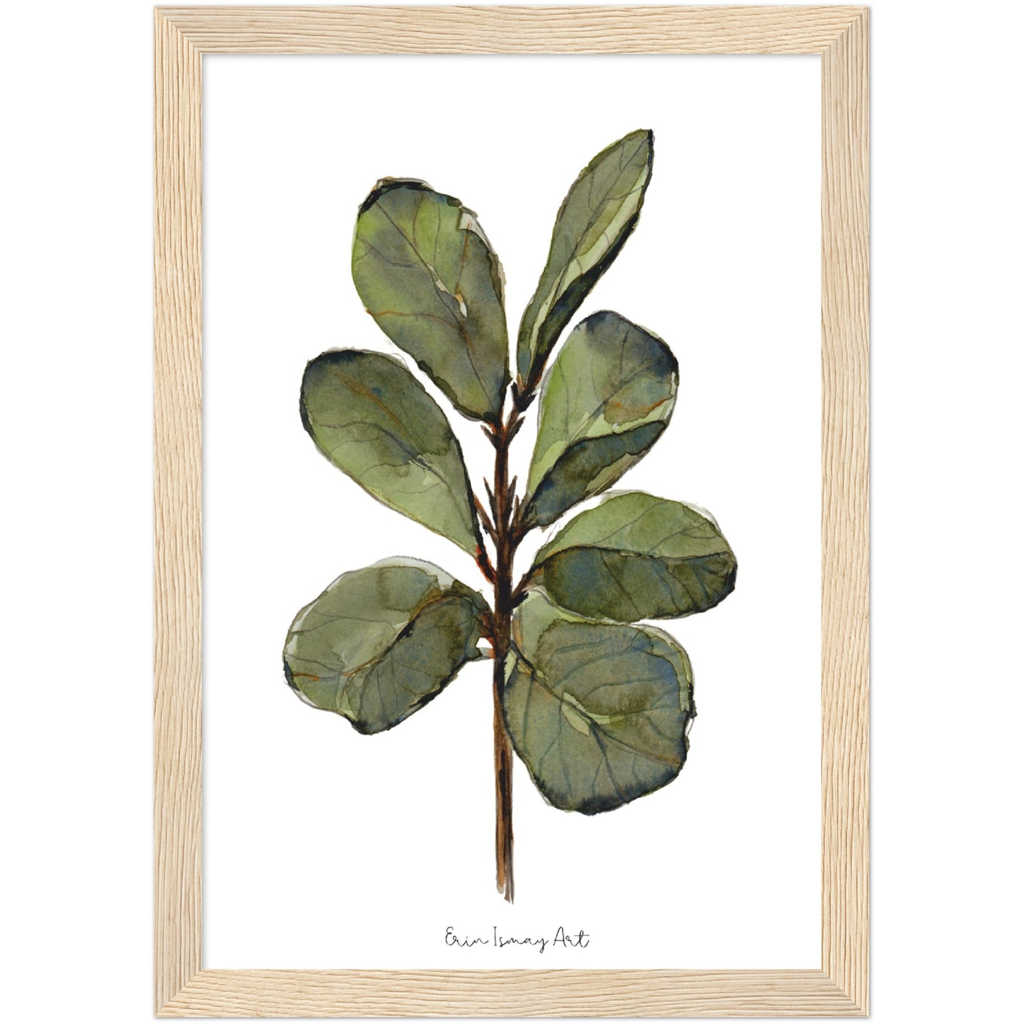 Ficus Plant Watercolour Print