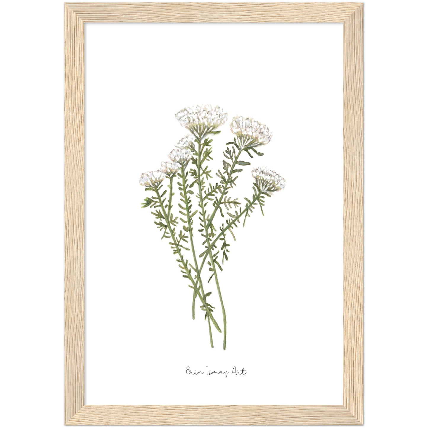 White Bristle Fynbos Watercolour Print