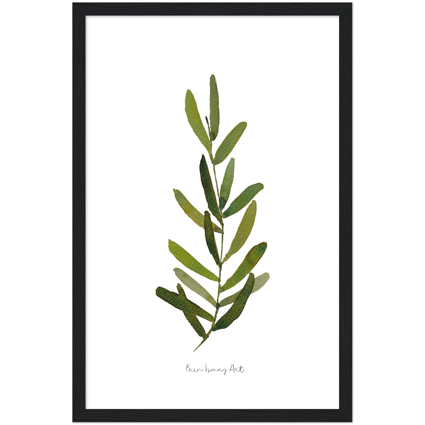 Single Olive Leaf Watercolour Print