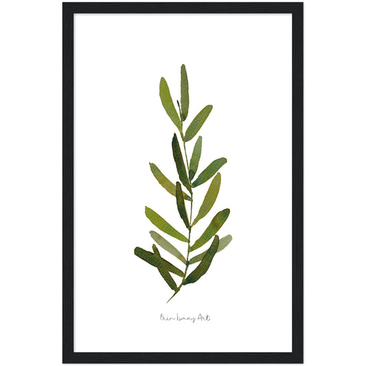 Single Olive Leaf Watercolour Print