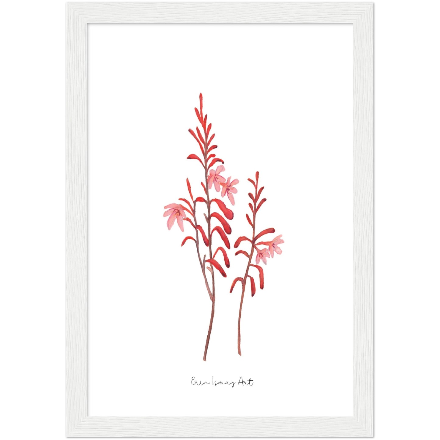 Table Mountain Watsonia Watercolour Print