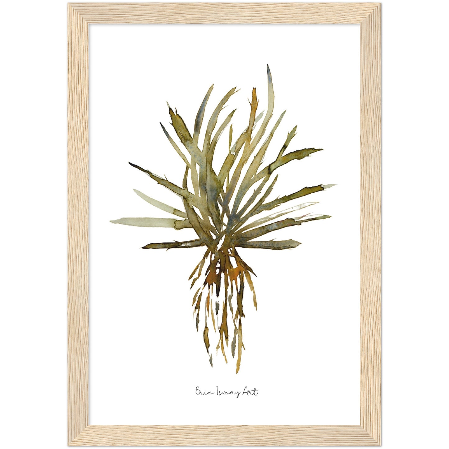 Aloe Vera Watercolour Print