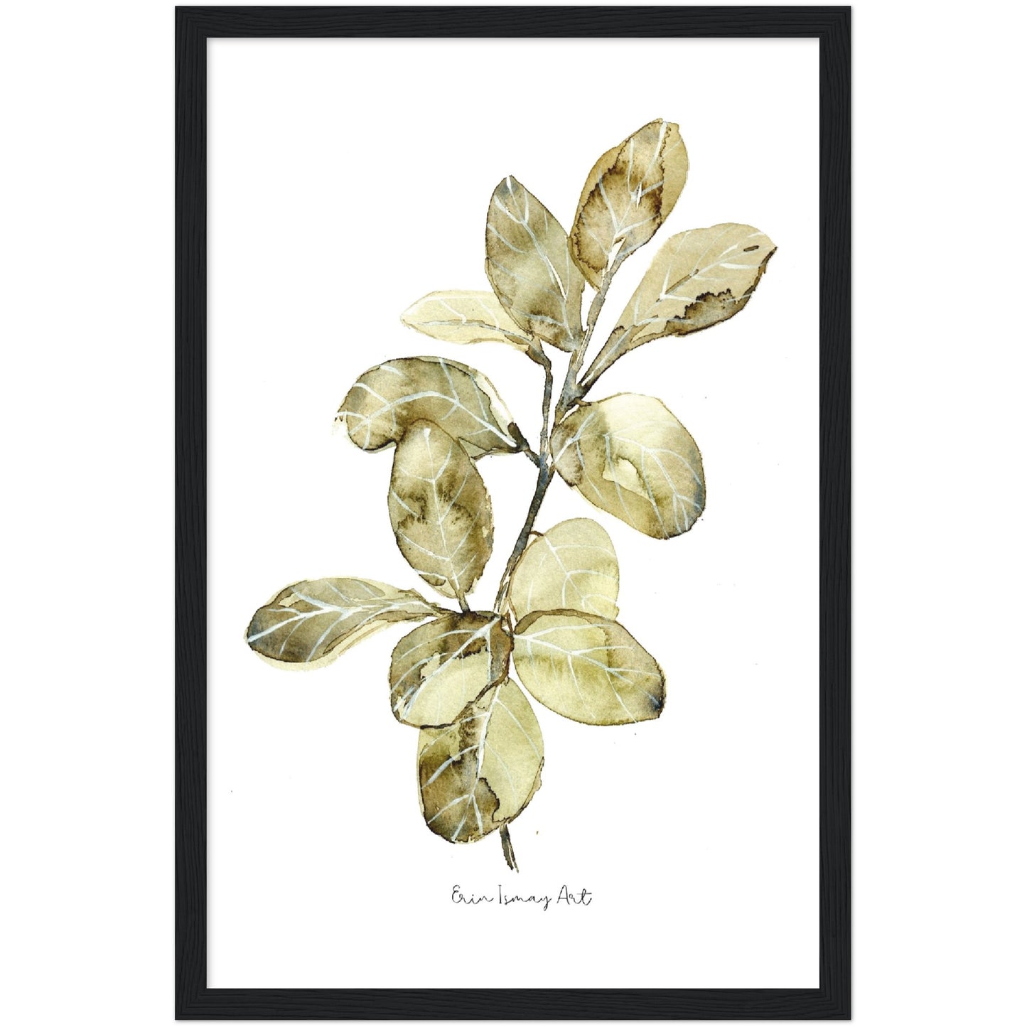 Ficus Audrey Watercolour Print