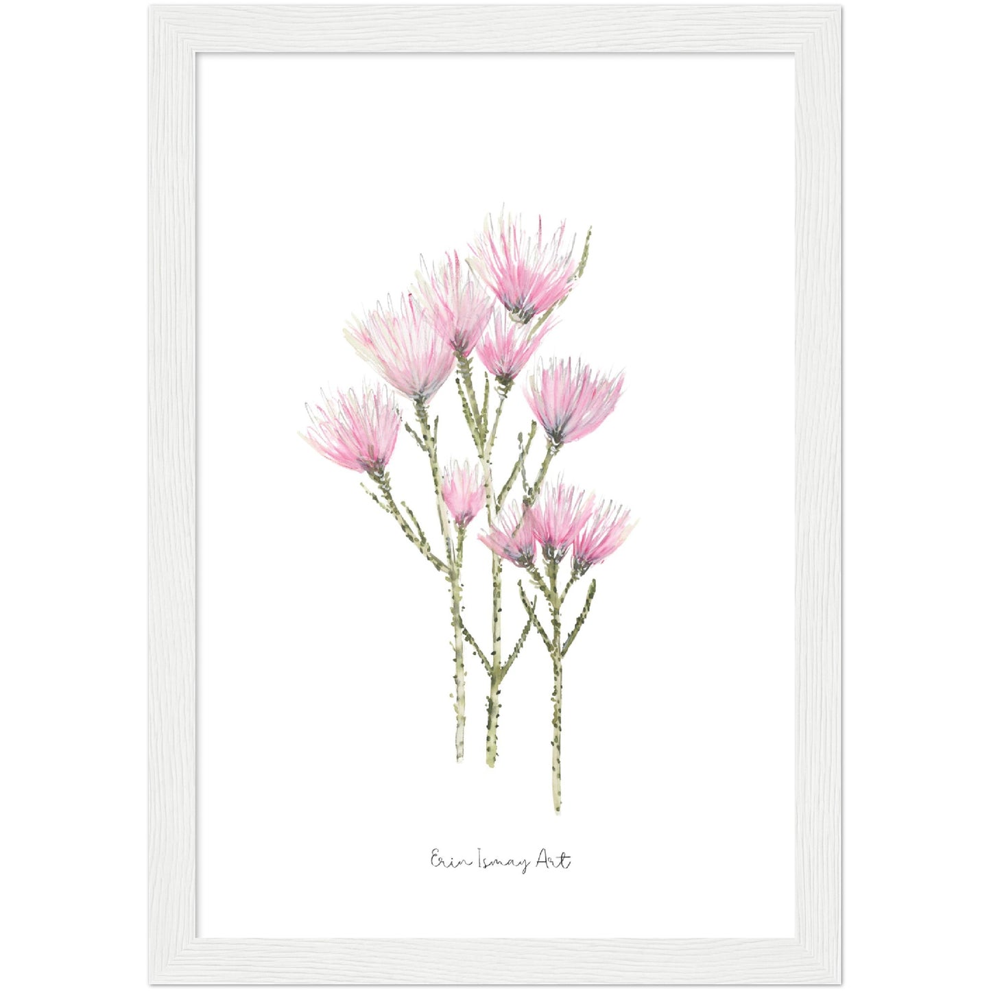 Cape Strawflower Watercolour Print