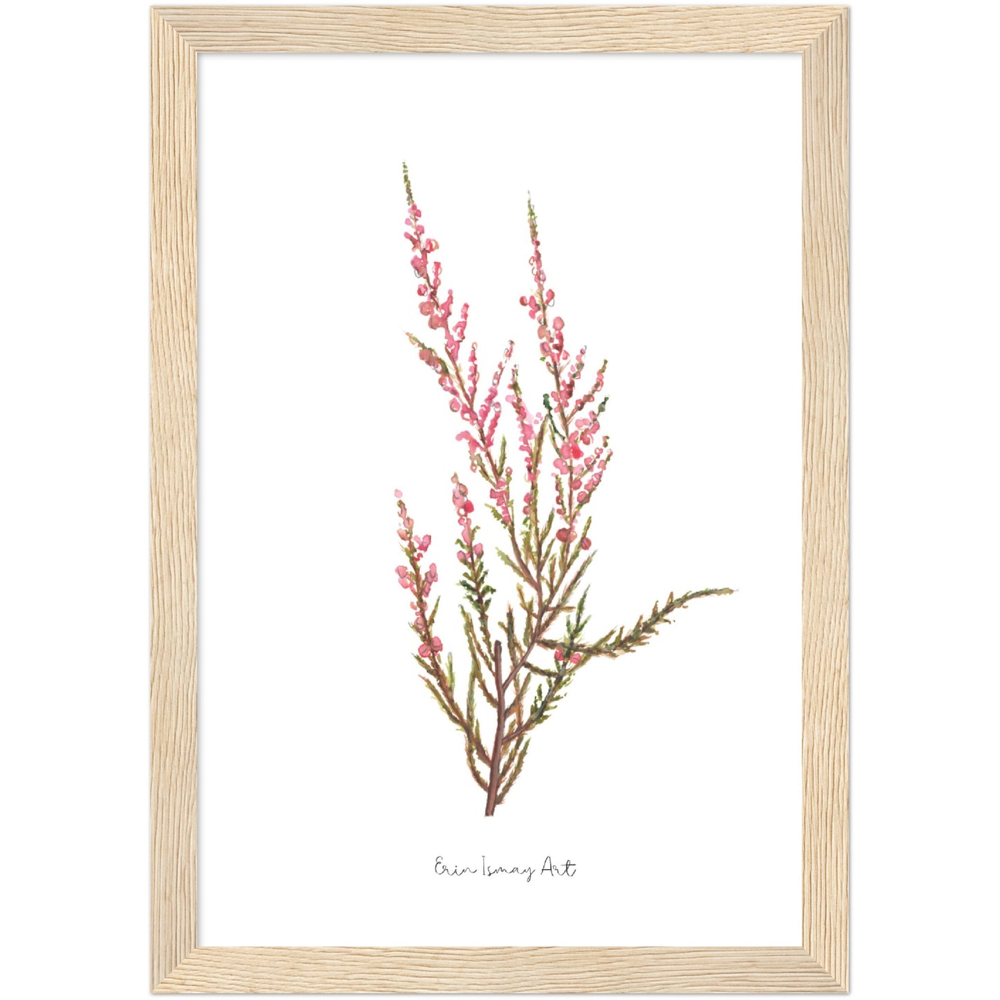 Pink Erica Watercolour Print