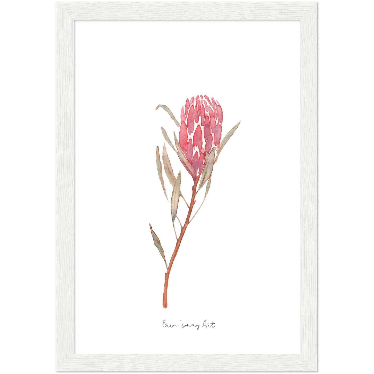 Red Ice Protea Watercolour Print